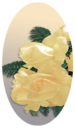 DNSBLUF 069 Bouquet Of Roses Yellow